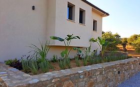 Olivista - Live In Nature